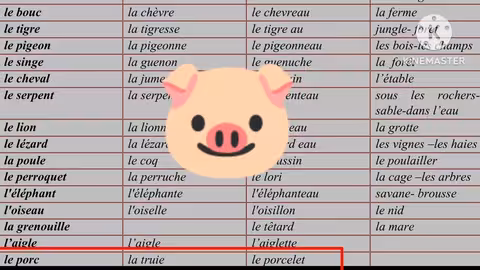 1ère année collège parcours les animaux,le mâle, la femelle,le petit, leur cris et le lieu où il vit
