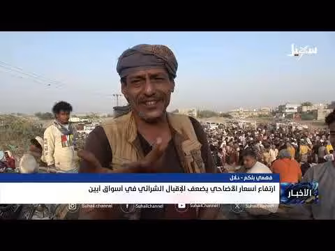 ارتفاع أسعار الأضاحي في أبين