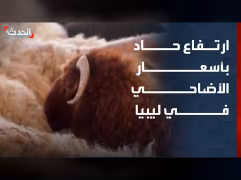 ارتفاع حاد في أسعار الأضاحي في ليبيا