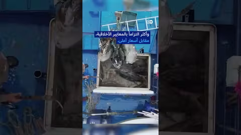 الصيد الجائر: جريمة تهدد التنوع البيولوجي