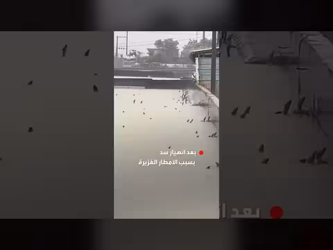 هروب 900 ثعبان في الصين بسبب فيضانات