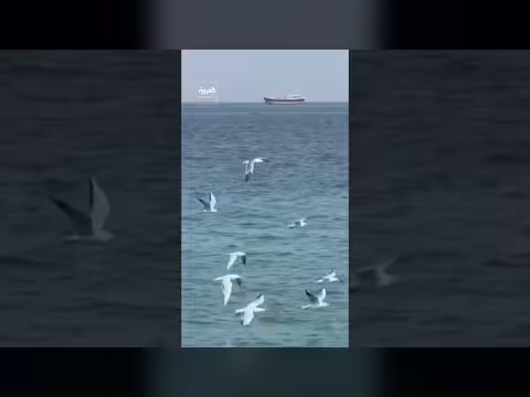 شركات تأمين الشحن البحري في لندن تقدم مليار دولار لتغطية السفن العابرة لمضيق هرمز