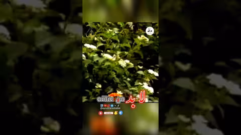 أغنية مهما صبرت لأيوب طارش