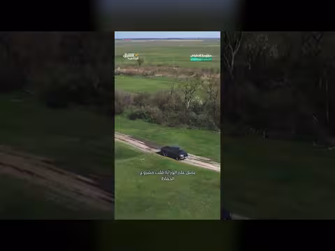 حصان يعود إلى الحياة من حقبة الستينات