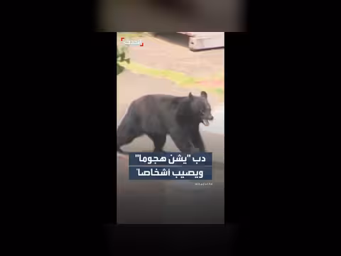 دب شارد يهاجم أشخاصًا في اليابان