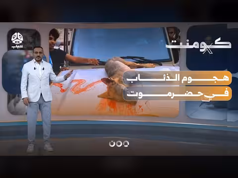 ذئاب تهاجم 17 يمنياً في حضرموت
