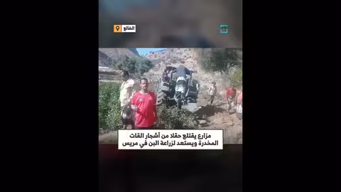 مزارع يقتلع القات ويزرع أشجار البن في الضالع