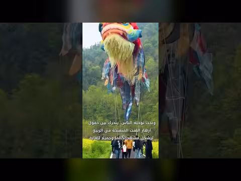 فانوس سمكة يتحرك في حقول الربيع