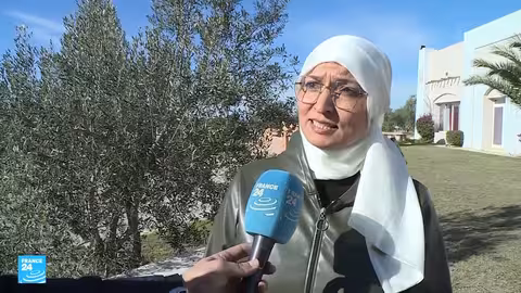 زيت الزيتون: ثروة تونسية تقود الاقتصاد