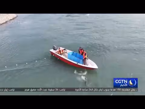 نجاح تجربة التحقق من منطقة تفريخ سمك الحفش في اليانغتسي