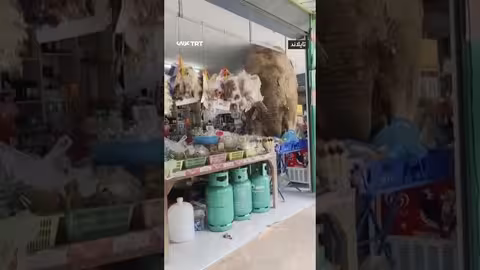 فيل هارب يقتحم متجراً في تايلاند بحثاً عن الطعام