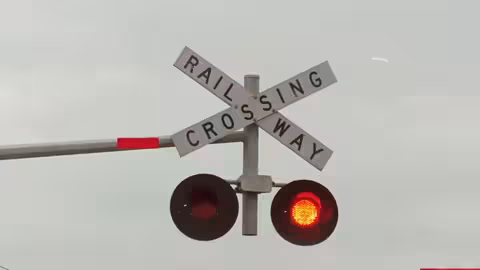 مغامرات منزلية خطرة في أمريكا