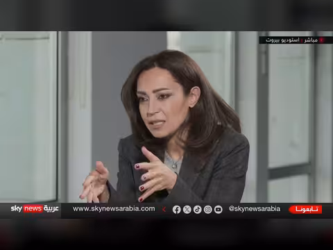 نائب رئيس الحكومة: حزب الله خارج القوى المسلحة الشرعية