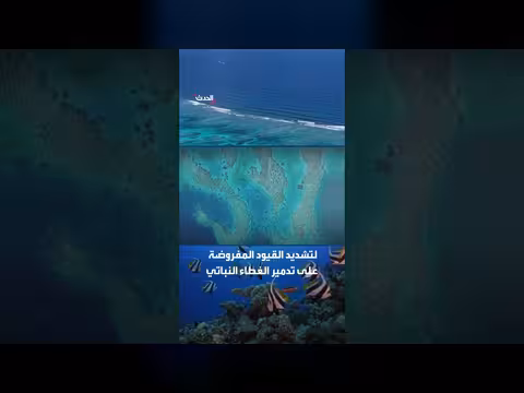 الحيد المرجاني العظيم يفلت من قائمة التراث المهدد