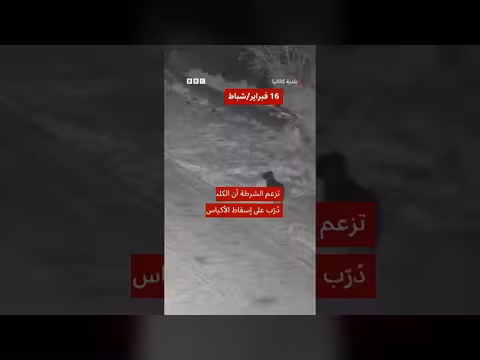 إيطاليا: تدريب كلب على إلقاء القمامة بشكل غير قانوني