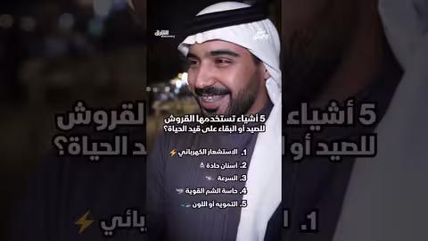 أسبوع القرش