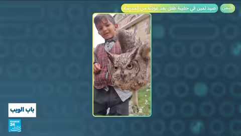 فرحة زين الدين زيدان بعد هدف الجزائر في كأس أمم أفريقيا