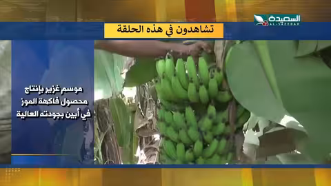 اليمن: أحداث متنوعة من غزة إلى ريمة في صد الأسبوع