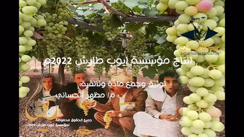 ايوب طارش - يا عنب يا عنب