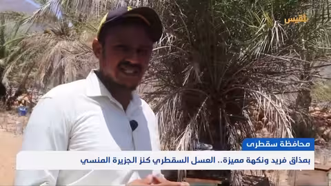 عسل سقطرى: تراث يمني ومصدر رزق مهدد
