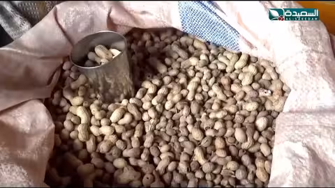 محصول أبين في خطر بسبب التغيرات المناخية