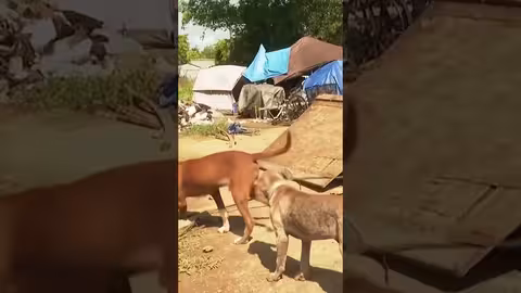 ترمب يهدد بسجن المجرمين وإبعاد المشردين عن واشنطن