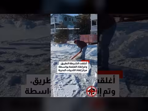 فقمة صغيرة تغفو على طريق ثلجي في نيو جيرسي