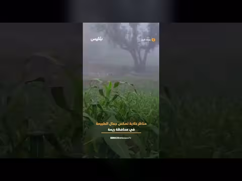 أجواء خلابة من محافظة ريمة توثق جمال الطبيعة الخضراء