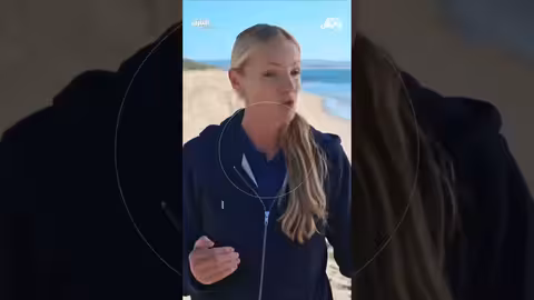 جنون أسماك القرش