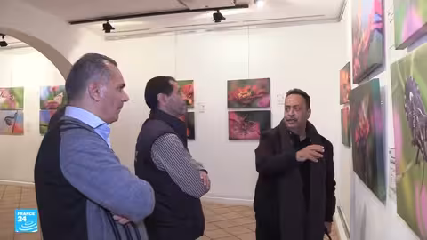 معرض ماكرو الحشرات في ليبيا يكشف جمال الطبيعة