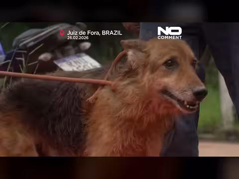 البرازيل: جهود بحث عن ناجين بعد فيضانات ميناس جيرايس المميتة