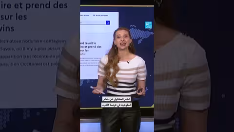 فرنسا تفكر في منع الملوخية