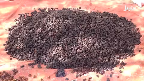 حفظ التمور في حضرموت: من الرزامة إلى الآلات الحديثة