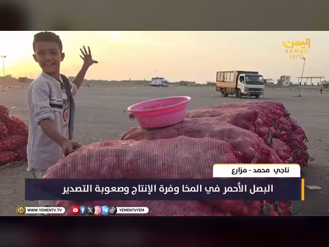 البصل الأحمر في المخا وفرة الإنتاج