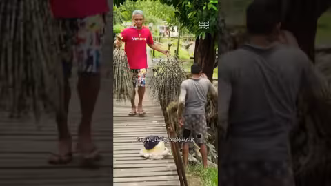 فاكهة البرازيليين الثمينة وثائقيات، shorts