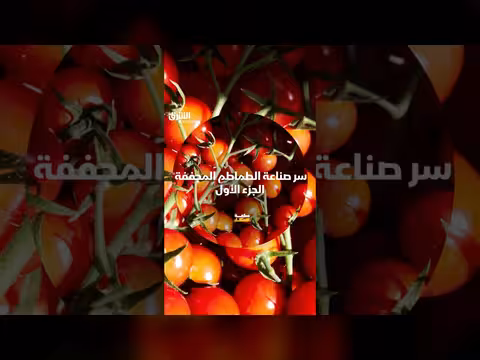 سر صناعة الطماطم المجففة