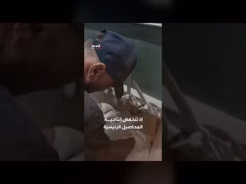 الأمم المتحدة تحذر من موجات الحر الشديد