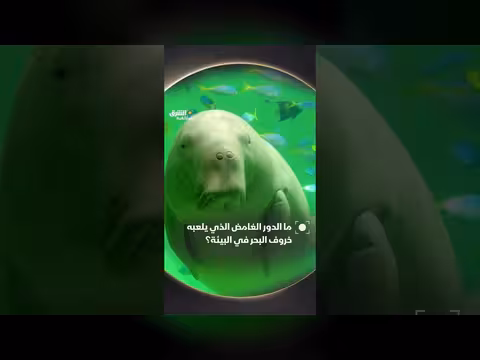 دور خروف البحر في الأنظمة البيئية البحرية