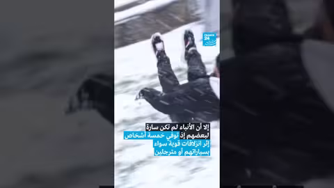 باريس تحت الثلوج: فرحة وحوادث