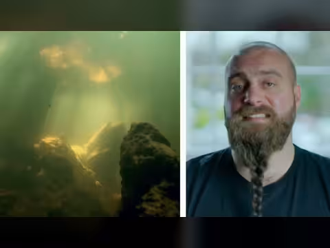 وسائل تواصل الحيوانات: لغة الفراشات