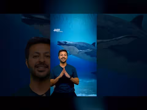 تطور الحوت من كائن بري إلى كائن بحري