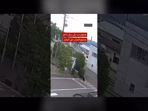 هجوم دب على رجل في مصنع فوكوشيما للصلب