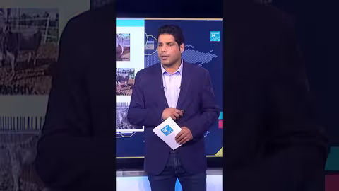 ترحيل حمير من إسرائيل إلى فرنسا يثير جدلاً واسعاً