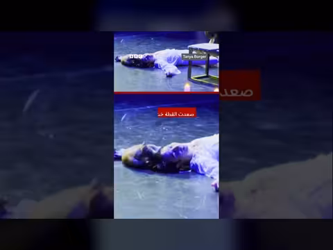 قطة تخطف الأضواء في عرض روميو وجوليت