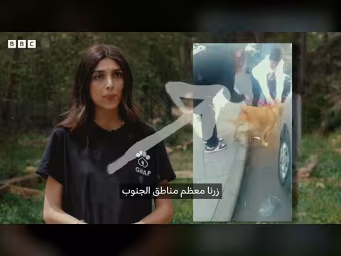 إنقاذ الحيوانات في جنوب لبنان خلال الحرب