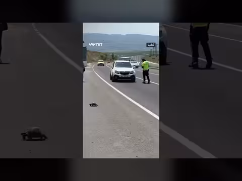 شرطي يوقف السير لعبور سلحفاة