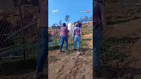 اعتداء مستوطن على متضامنة في دوما جنوب نابلس