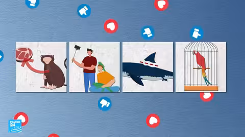 الاتجار بالحيوانات البرية: جريمة منظمة تهدد التنوع البيولوجي