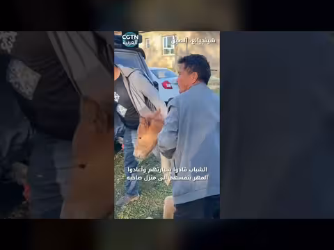 شباب من شينجيانغ ينقذون مهرا ضائعا