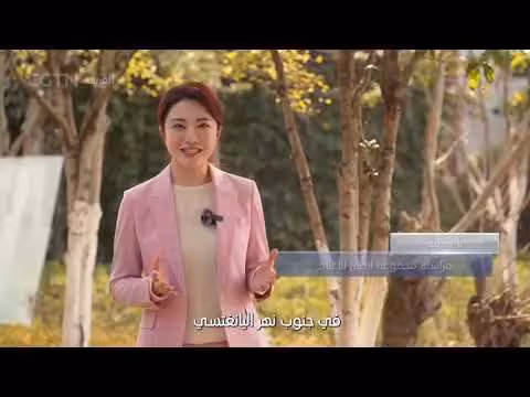 الصين: السعادة على مائدة الطعام